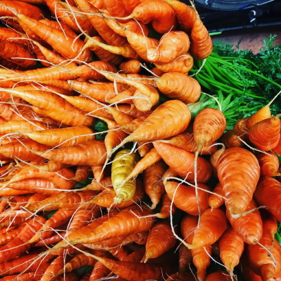 Ngeringa Biodynamic Carrots Ngeringa Biodynamic Carrots